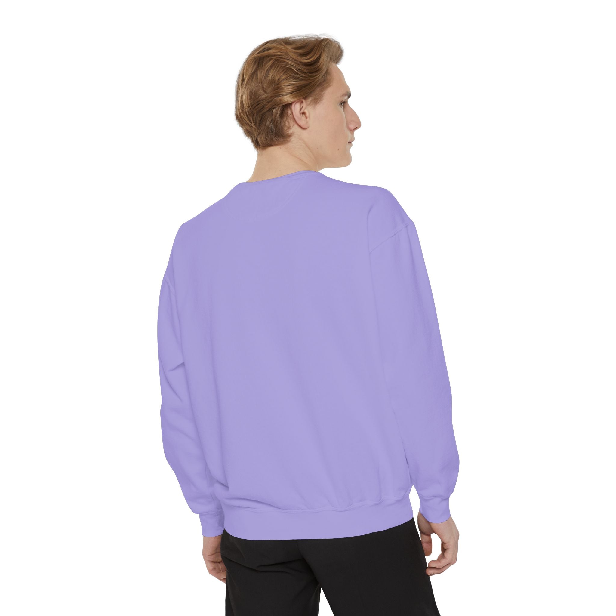 I See Talking Birds Sweatshirt — Colorful Parrot Graphic Pullover