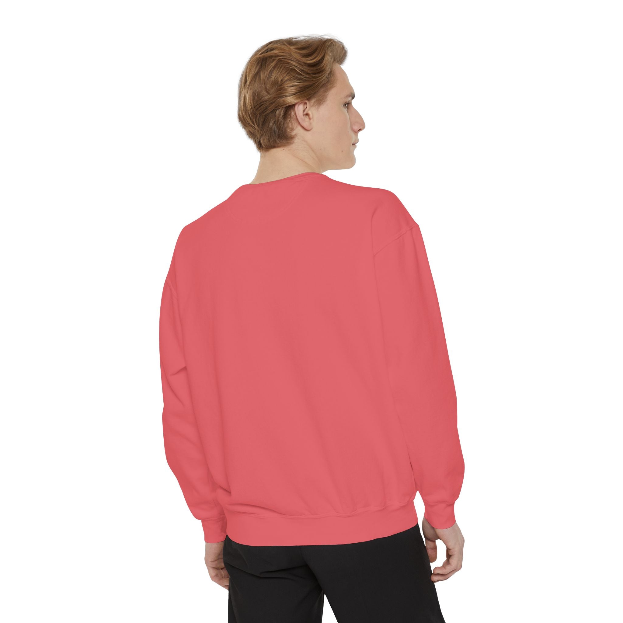 Travel Company Sweatshirt – "O2H Travel Company: Explore the Wild Side"