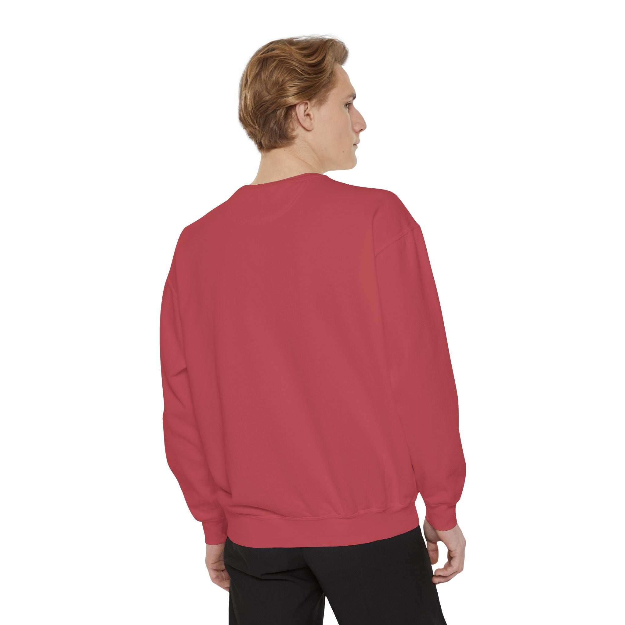 I See Talking Birds Sweatshirt — Colorful Parrot Graphic Pullover